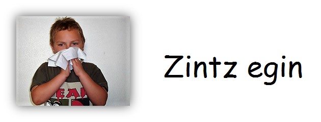 Zintz-egin
