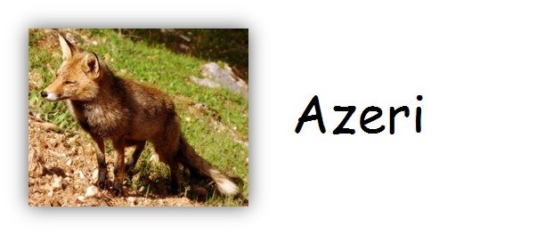 Azeri