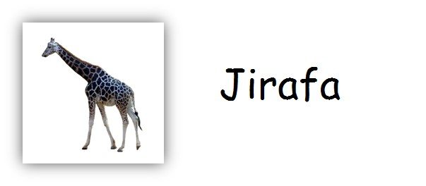 Jirafa